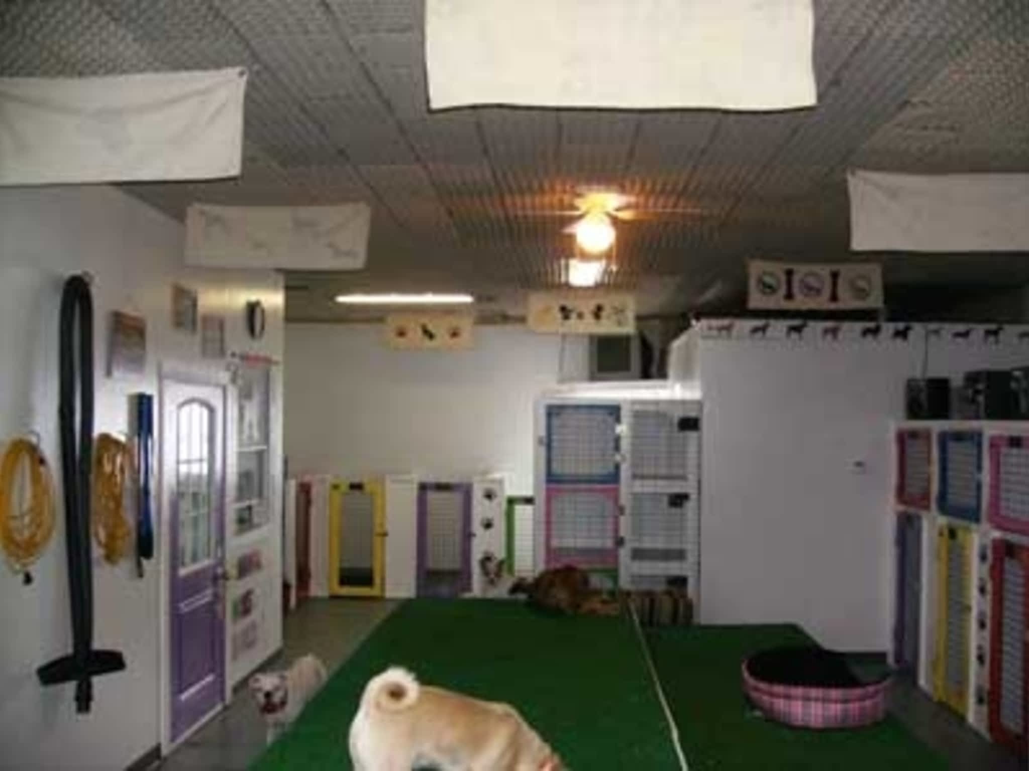 Animal House Dog & Cat Boarding Seven Persons, AB 12208 Range Rd 72