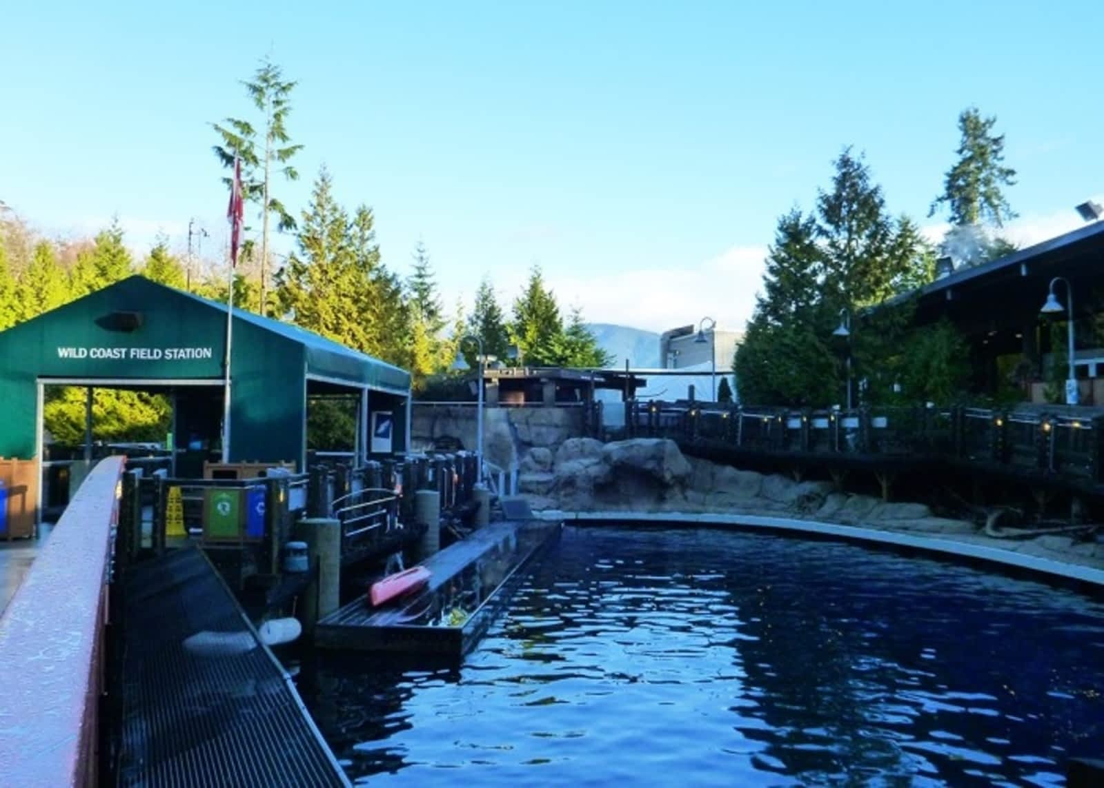 Vancouver Aquarium Marine Science Centre Opening Hours 845 Avison Way Vancouver Bc