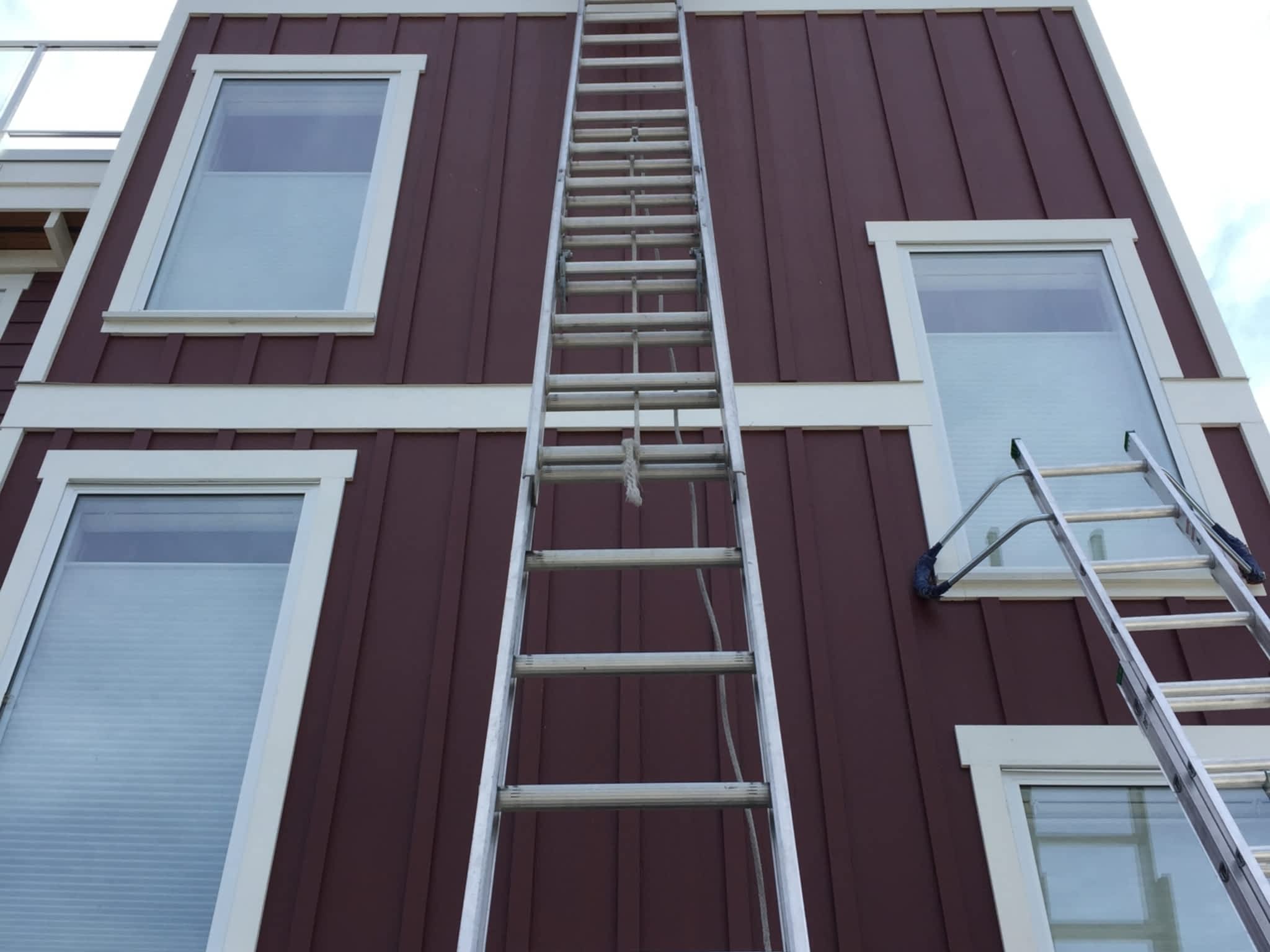 photo Next Level Window Cleaning