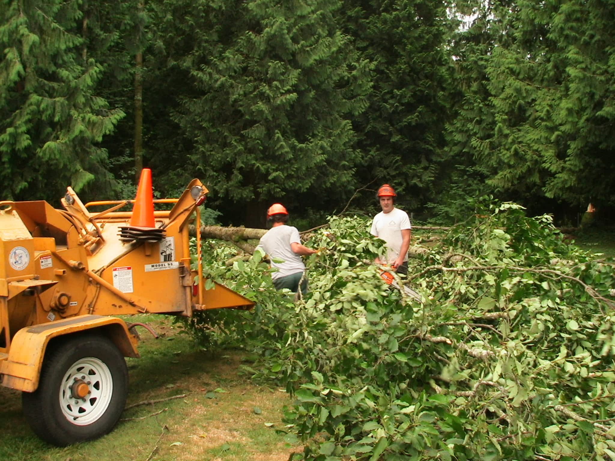 photo Pro Tree Services