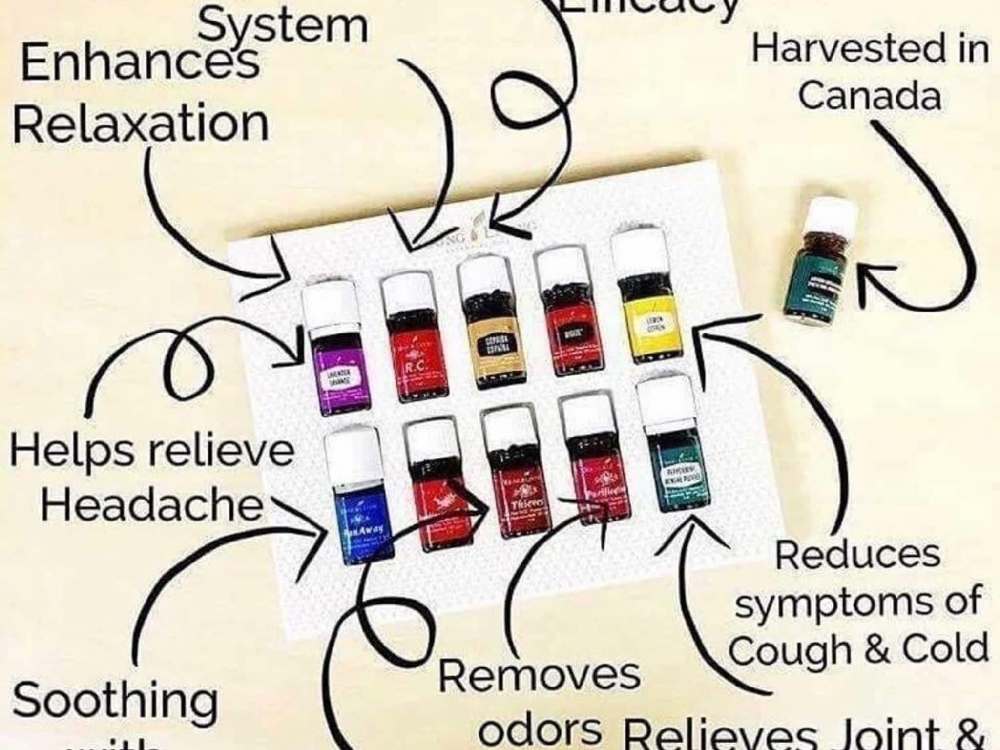 photo Yeg Young Living Essential Oils With Laura Dorward