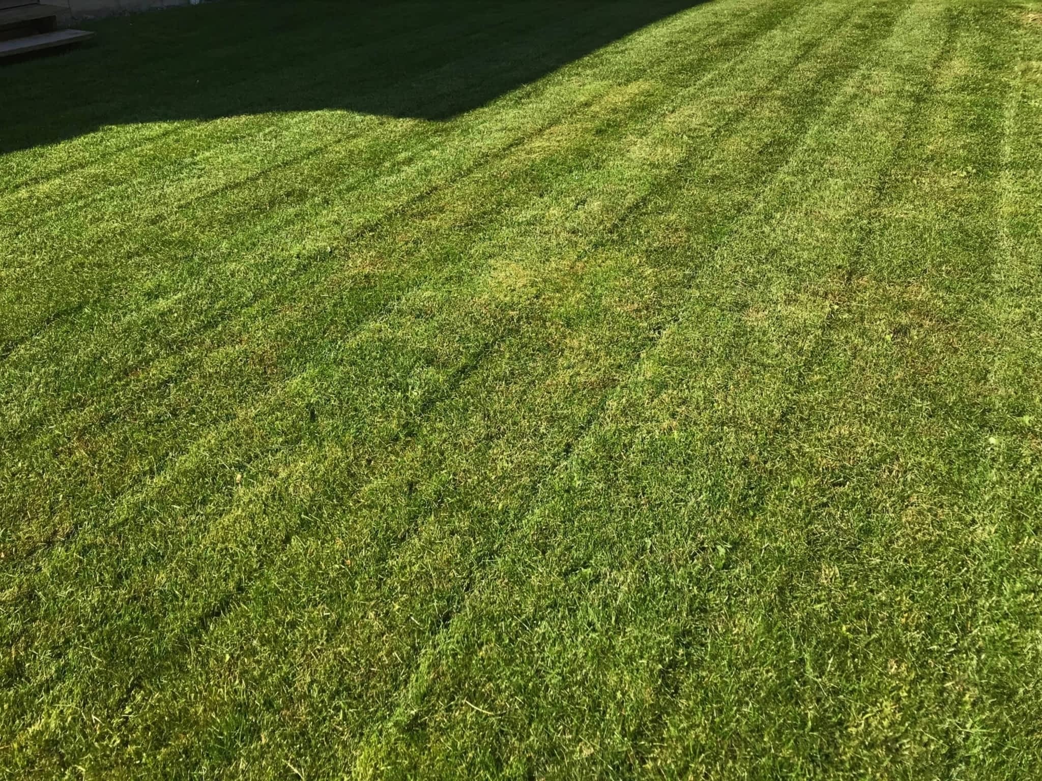 photo Swift Services