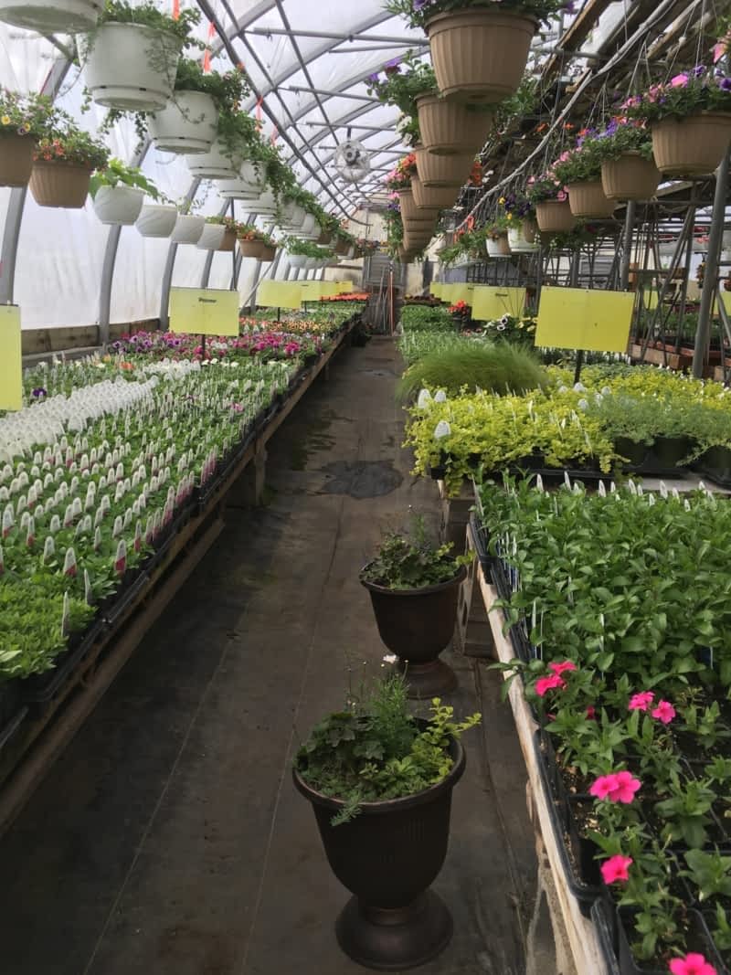 Uncle Johns Greenhouse - Opening Hours - 9367 Nielson Rd, Prince George, BC