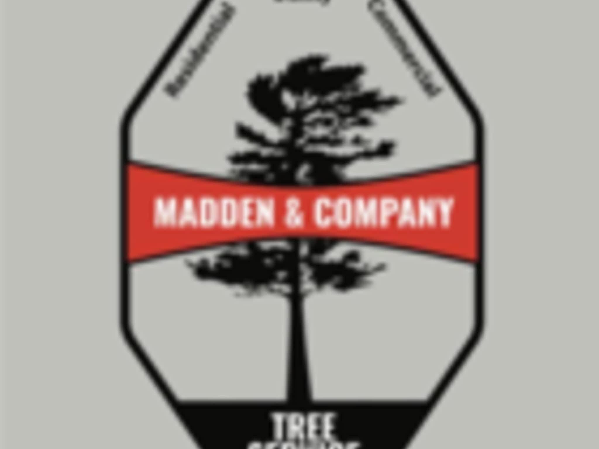 photo Madden & Company Tree Service