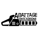 Abattage Bascarbone - Tree Service