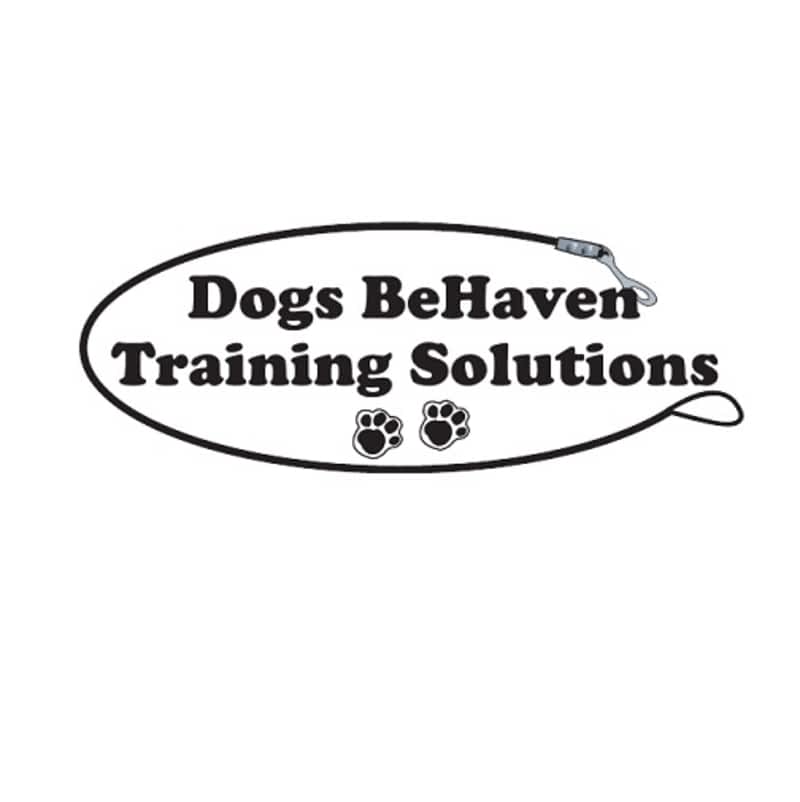 photo Dogs BeHaven Training Solutions