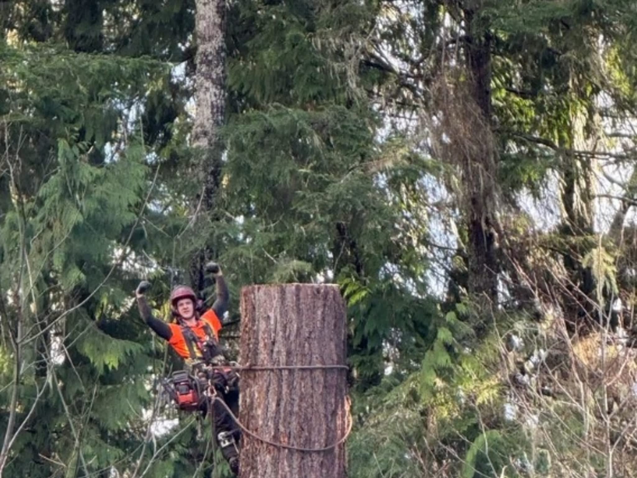 photo Valhalla Falling & Tree Services