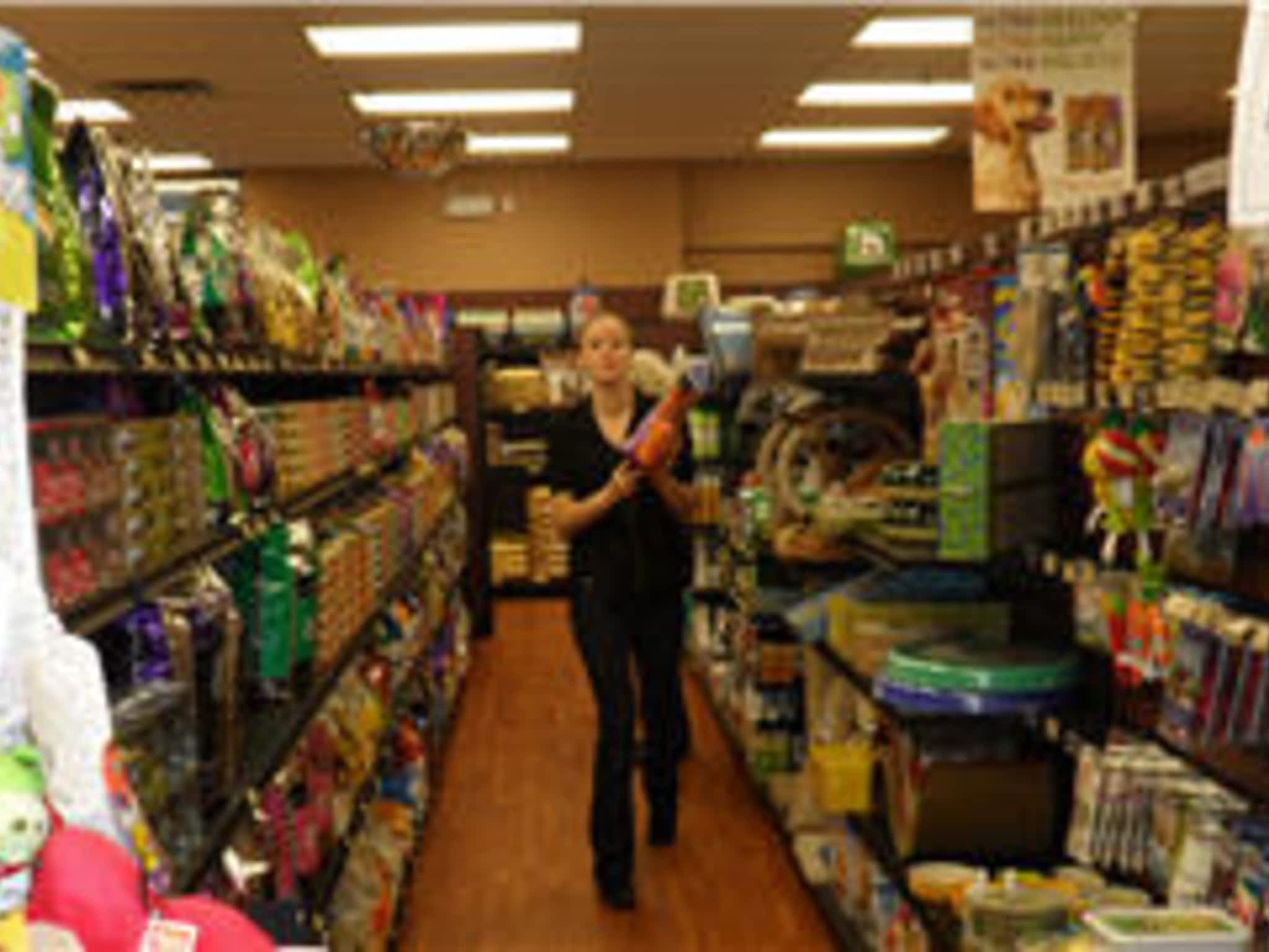 pet valu fancy feast