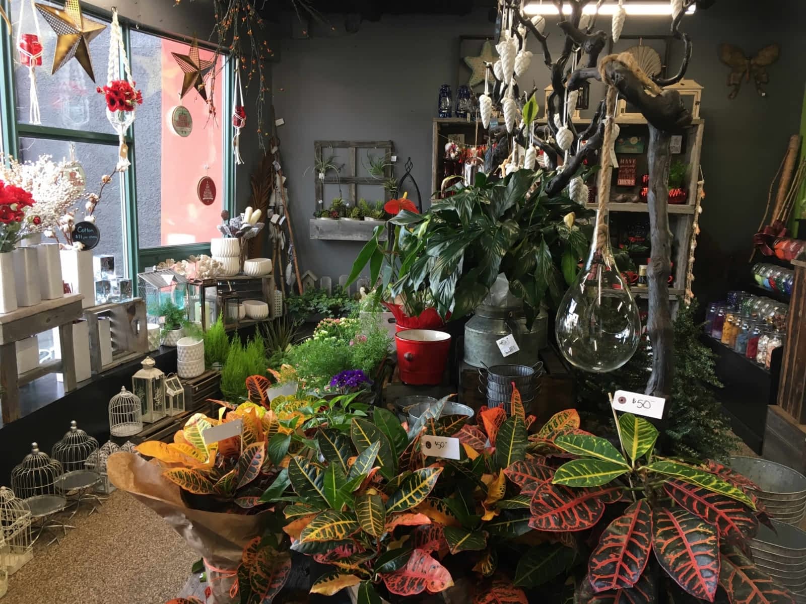 Kensington Florist 31145 Kensington Cres NW, Calgary, AB