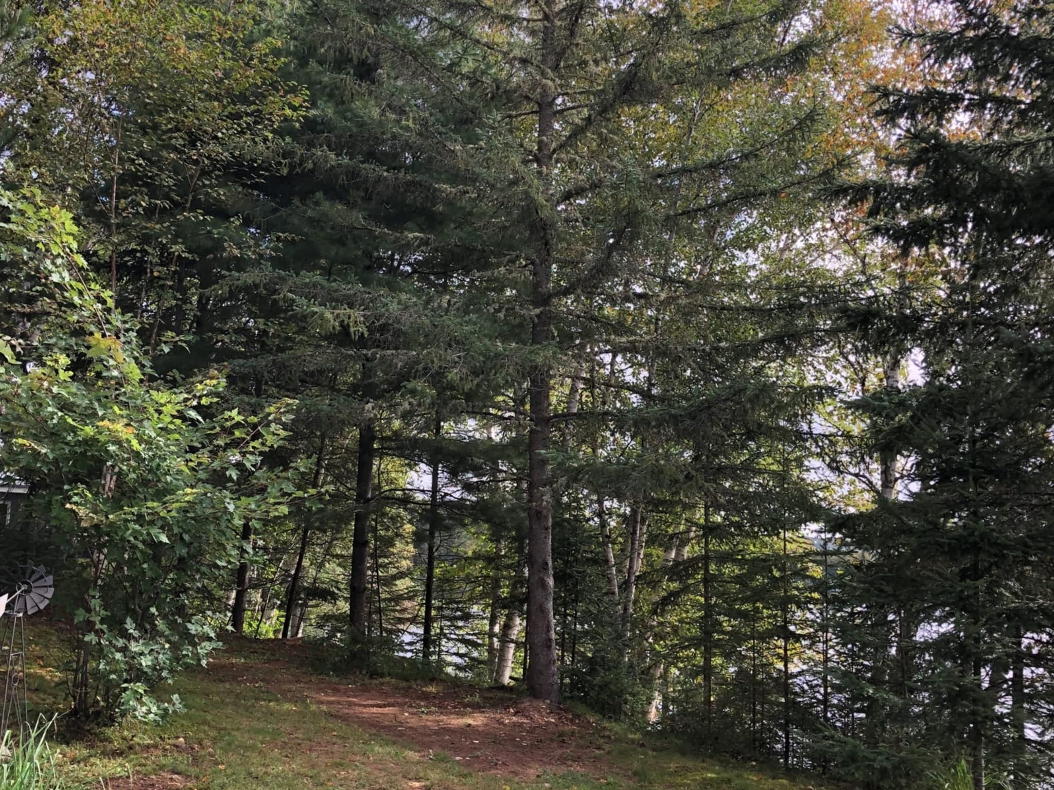 photo Arbo-douceur inc