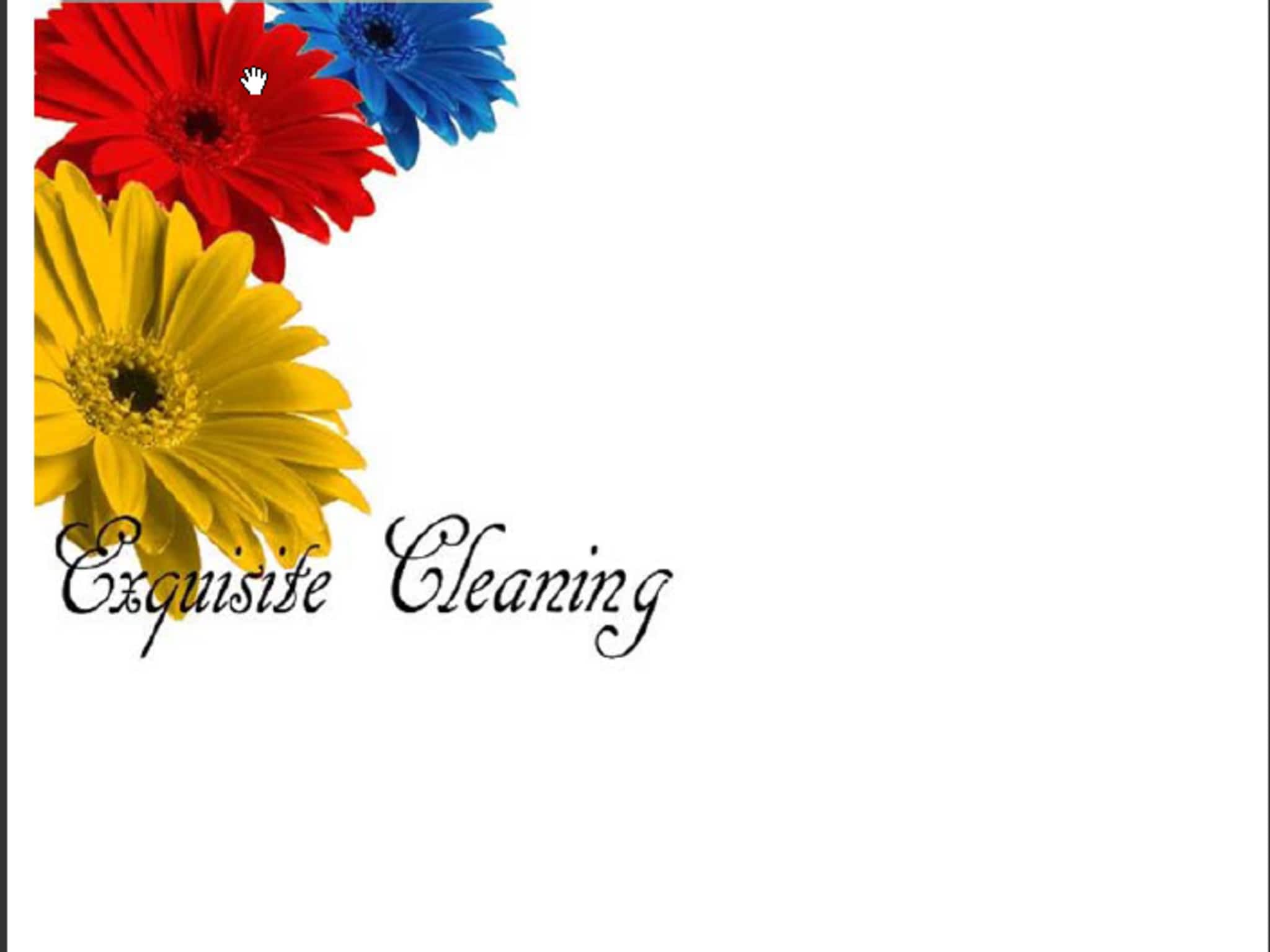 photo Exquisite Cleaning