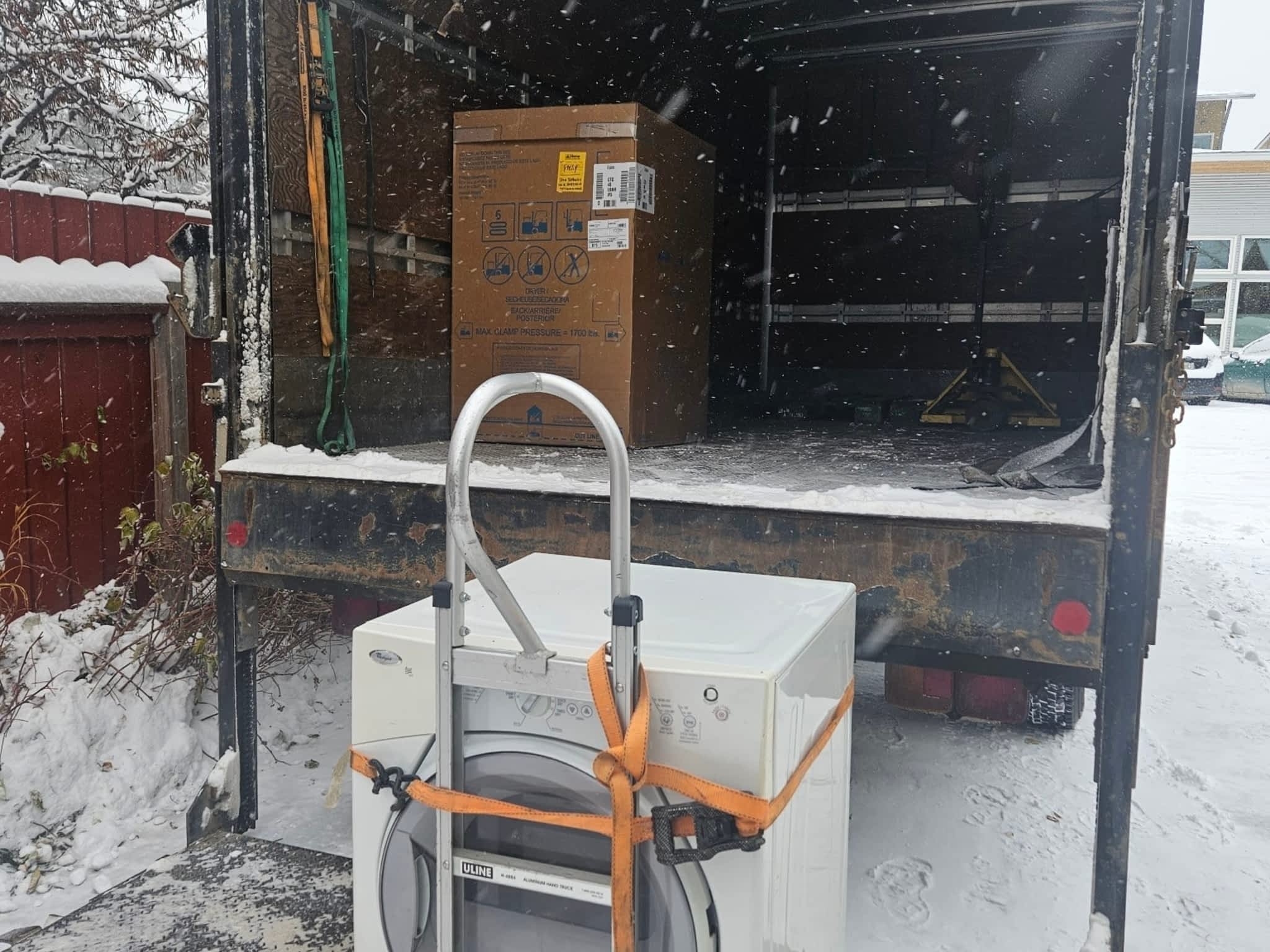 photo Black Wings Delivery