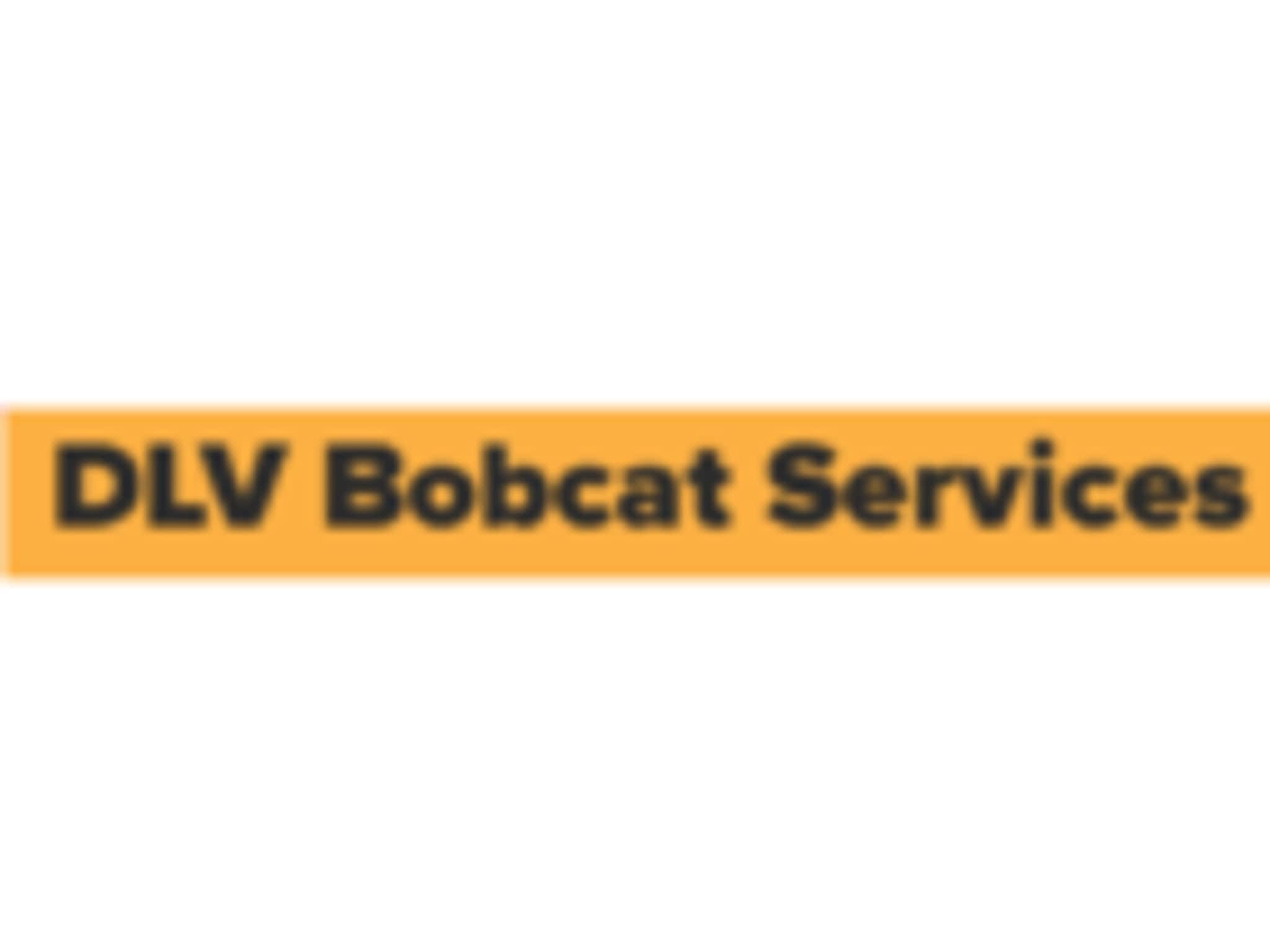 photo DLV Bobcat Services