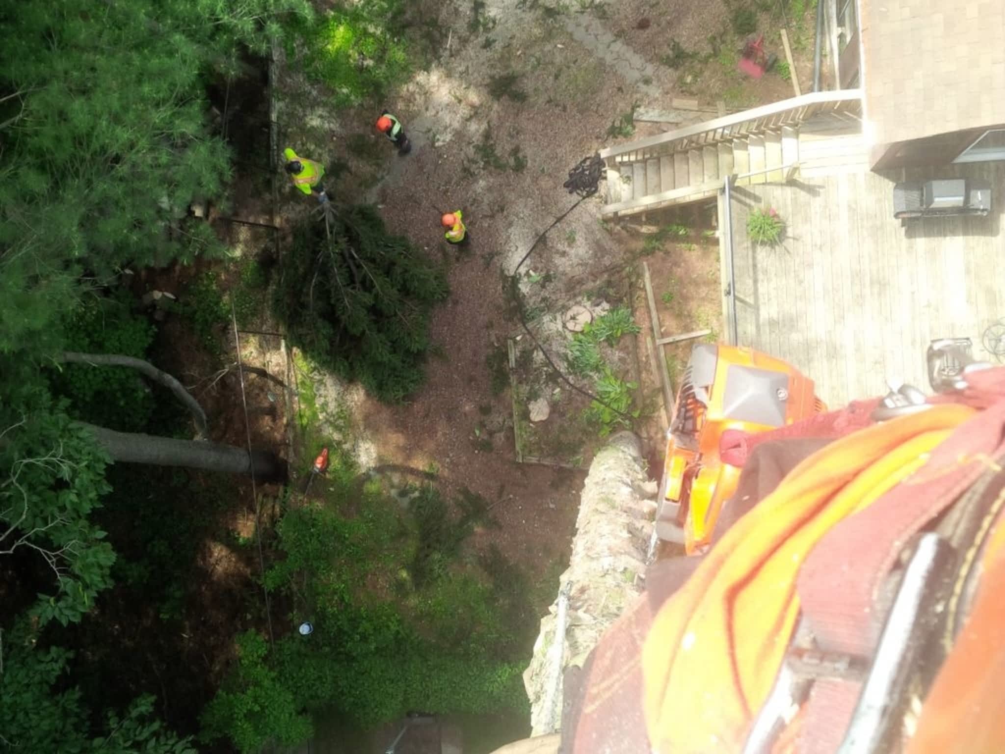 photo Crawford Loggers