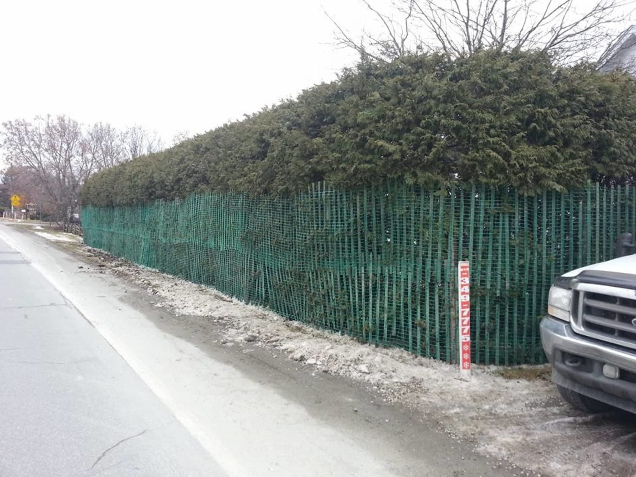 photo Multi Services SP