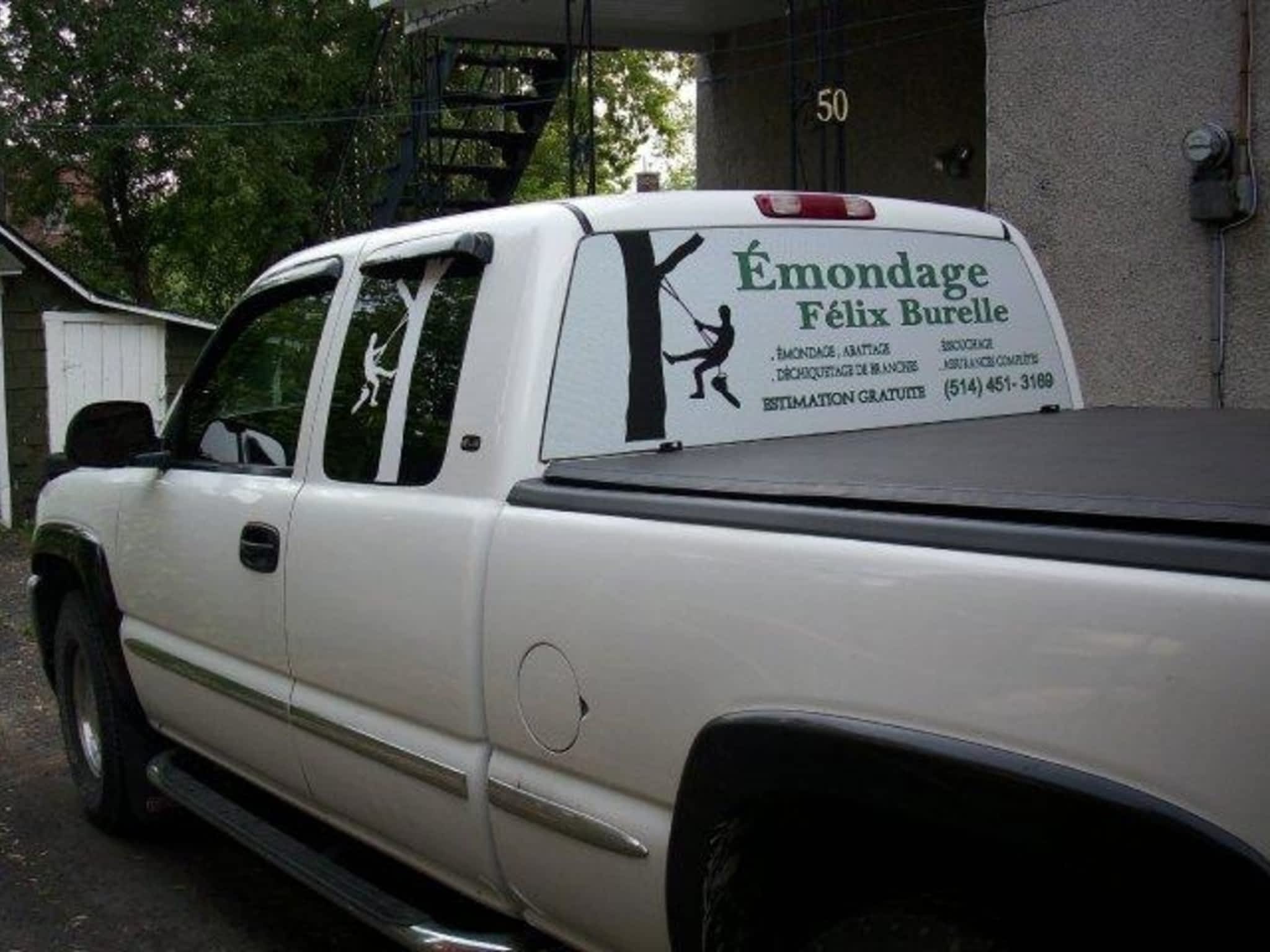 photo Émondage Félix Burelle