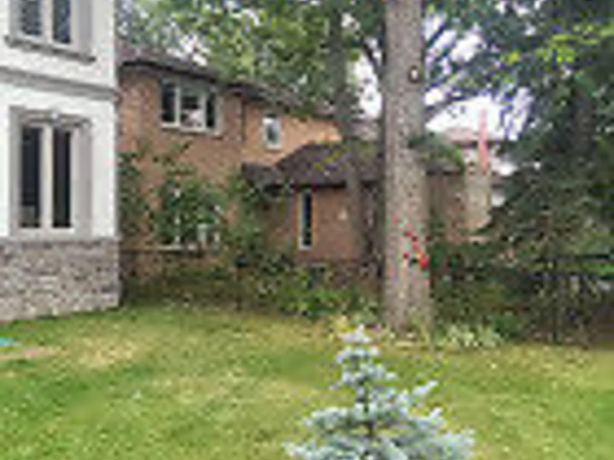 photo Clear View Tree Service