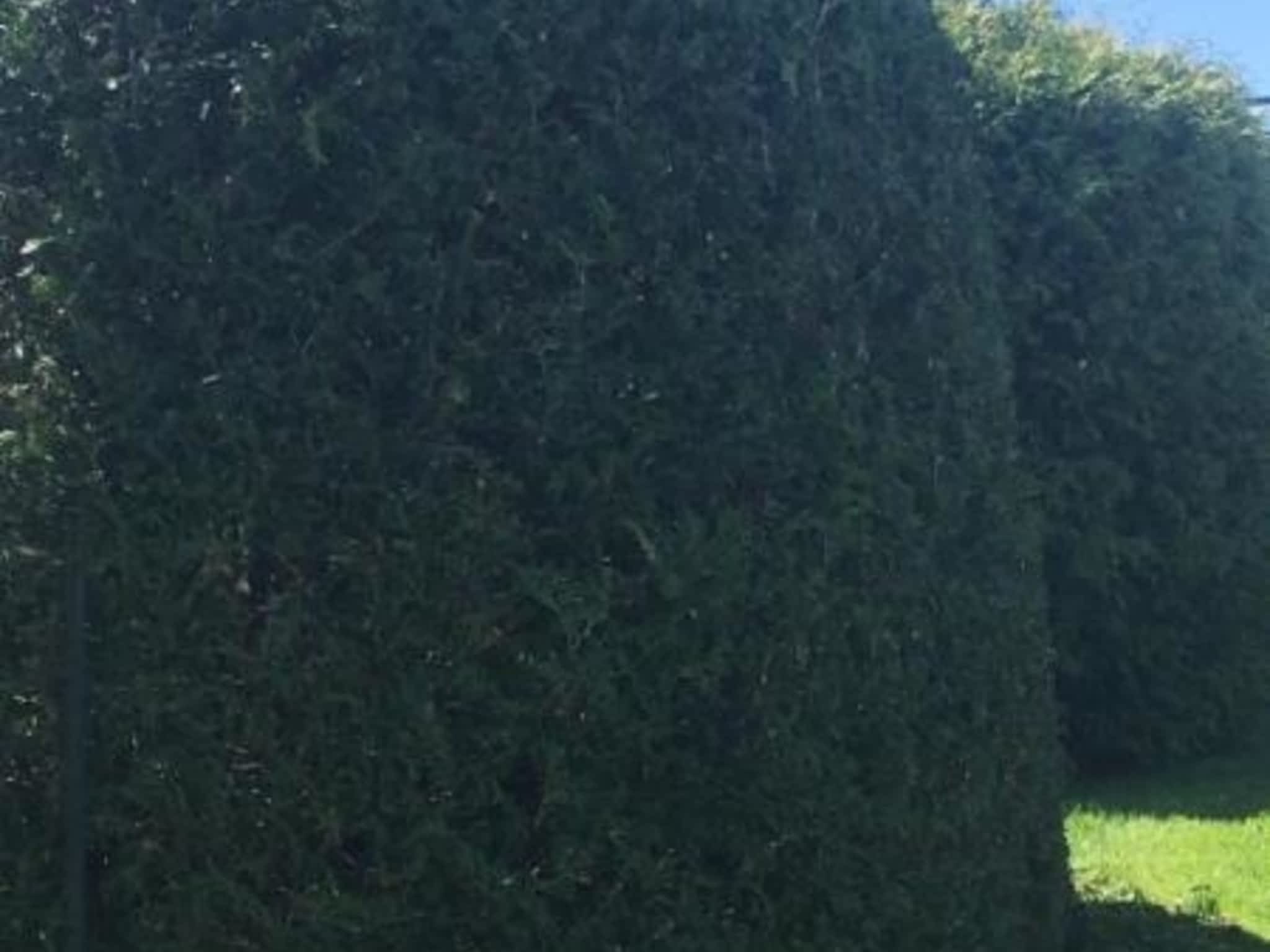 photo Benoit et ces Arbustes