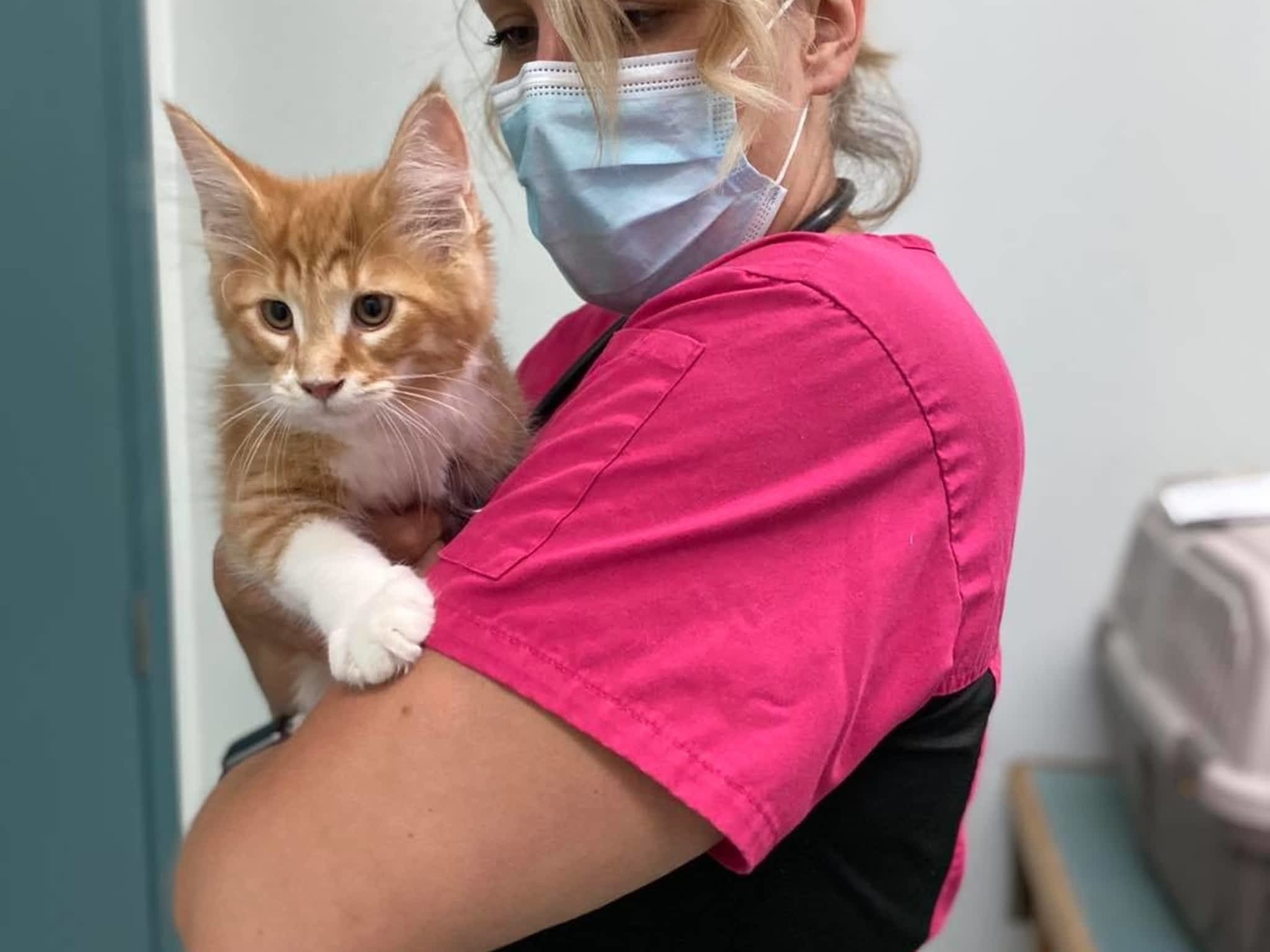 Ritson Veterinary Clinic Oshawa, ON 490 Taunton Rd E Canpages