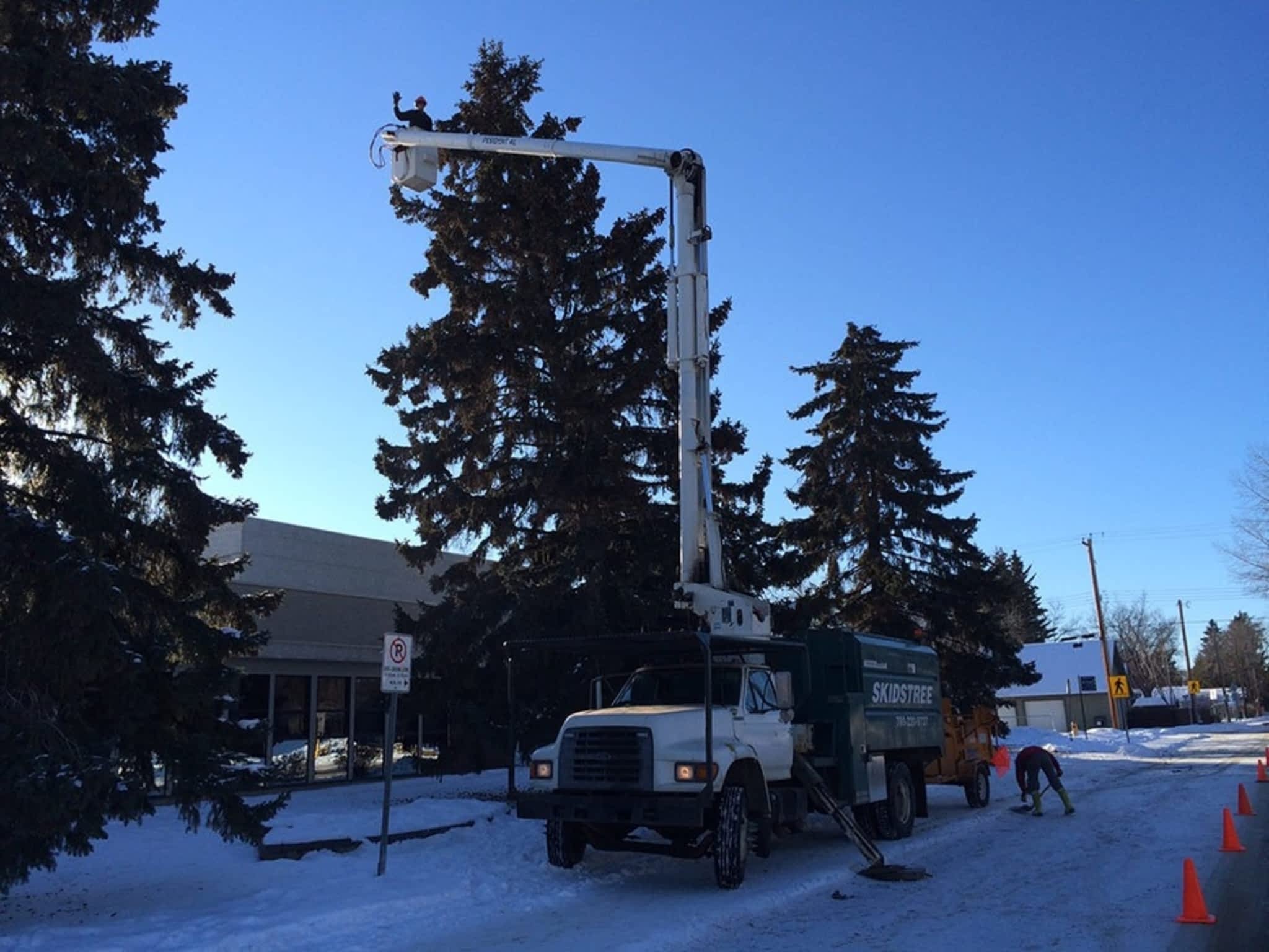 photo Skidstree Services