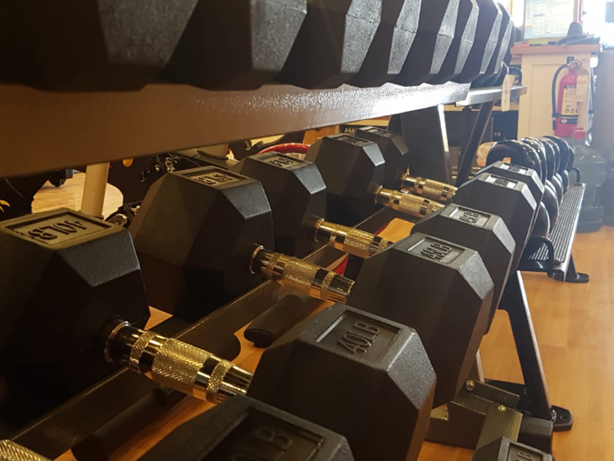 Spartan Fitness Equipment Dartmouth, NS 26 Bancroft Drive Canpages