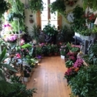 Fleurs en Folie - Florists & Flower Shops