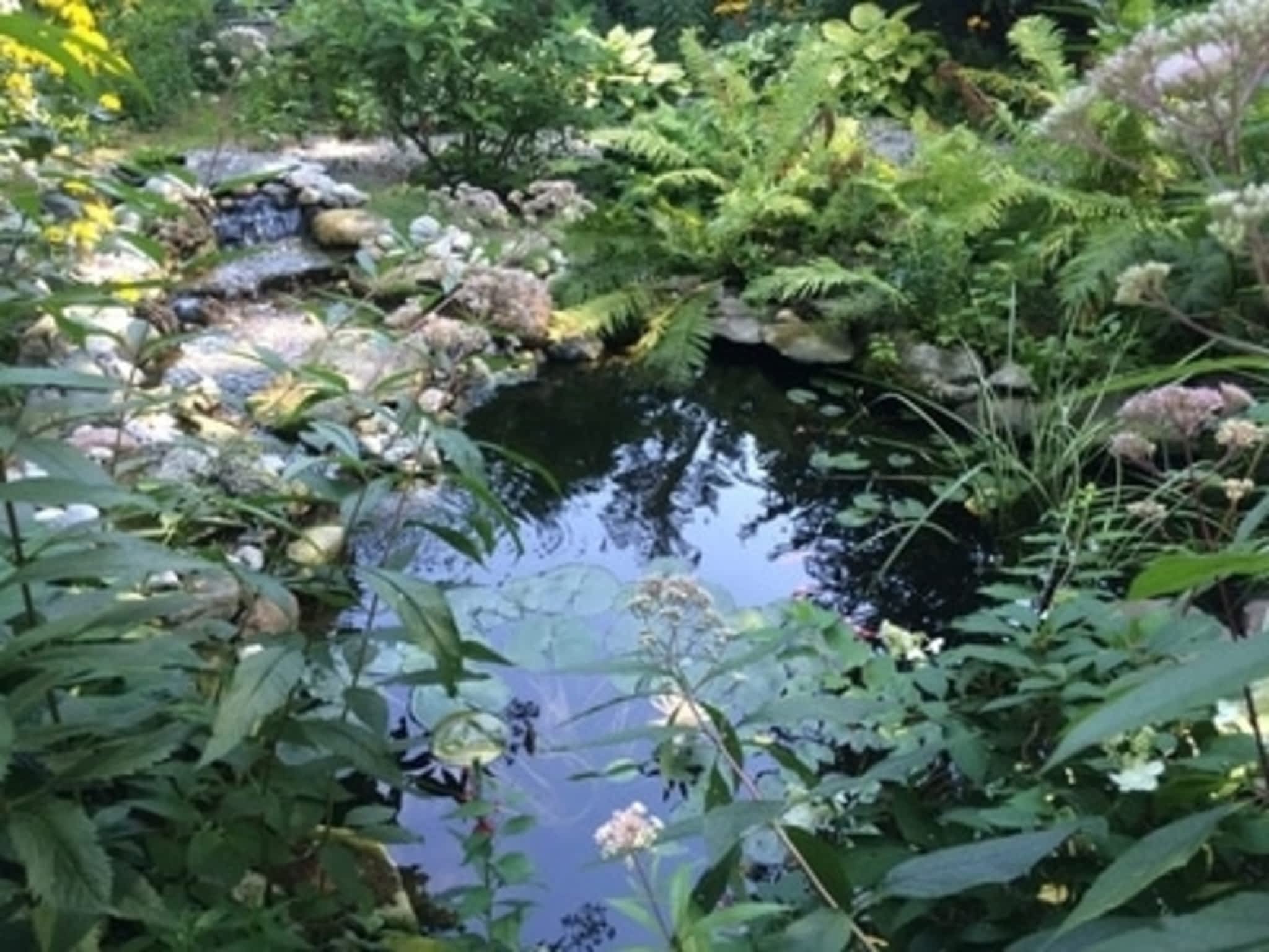 photo Liquid Landscape