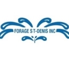 Forage St-Denis Inc - Logo