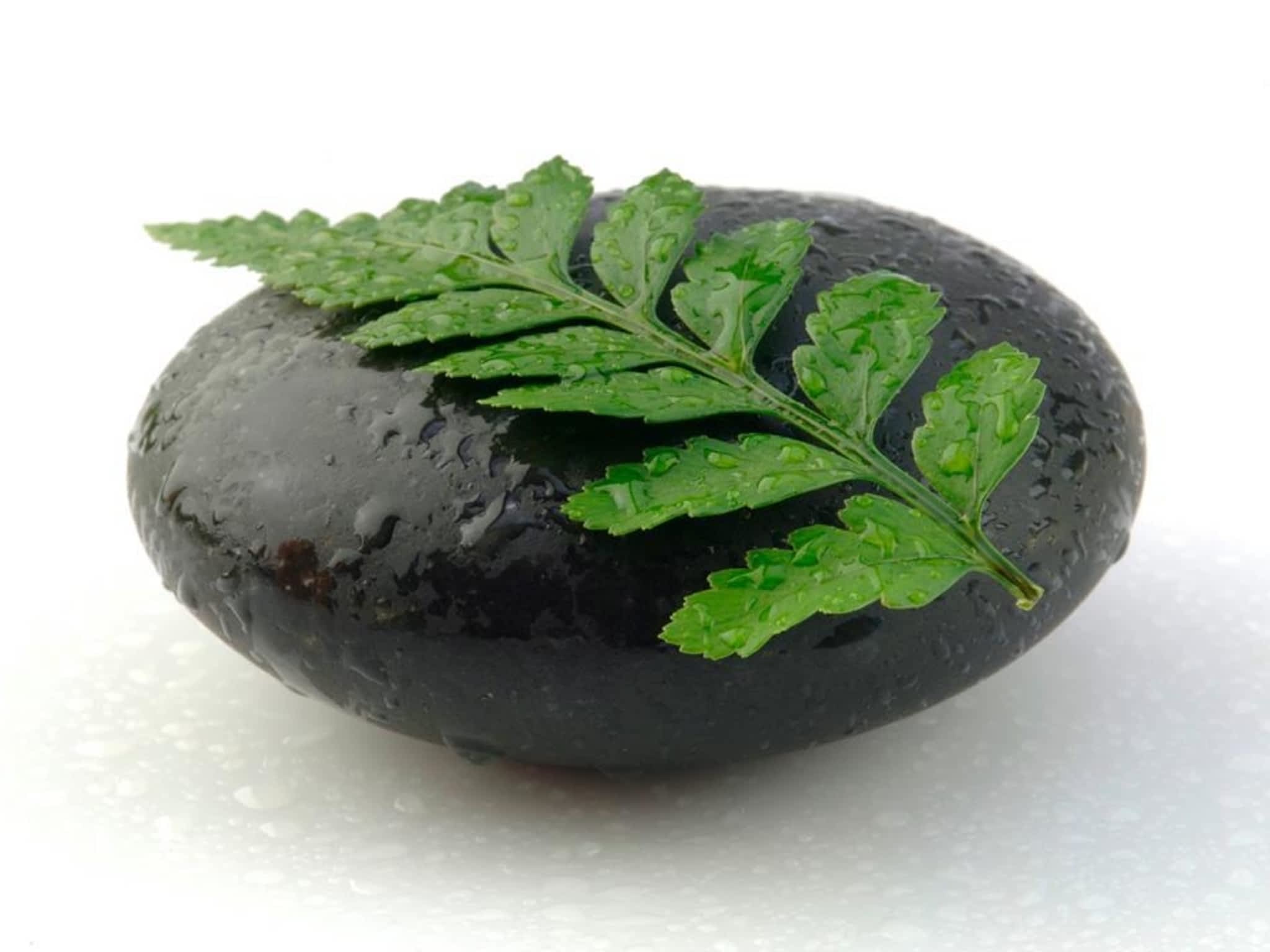 photo Zénitude Concept