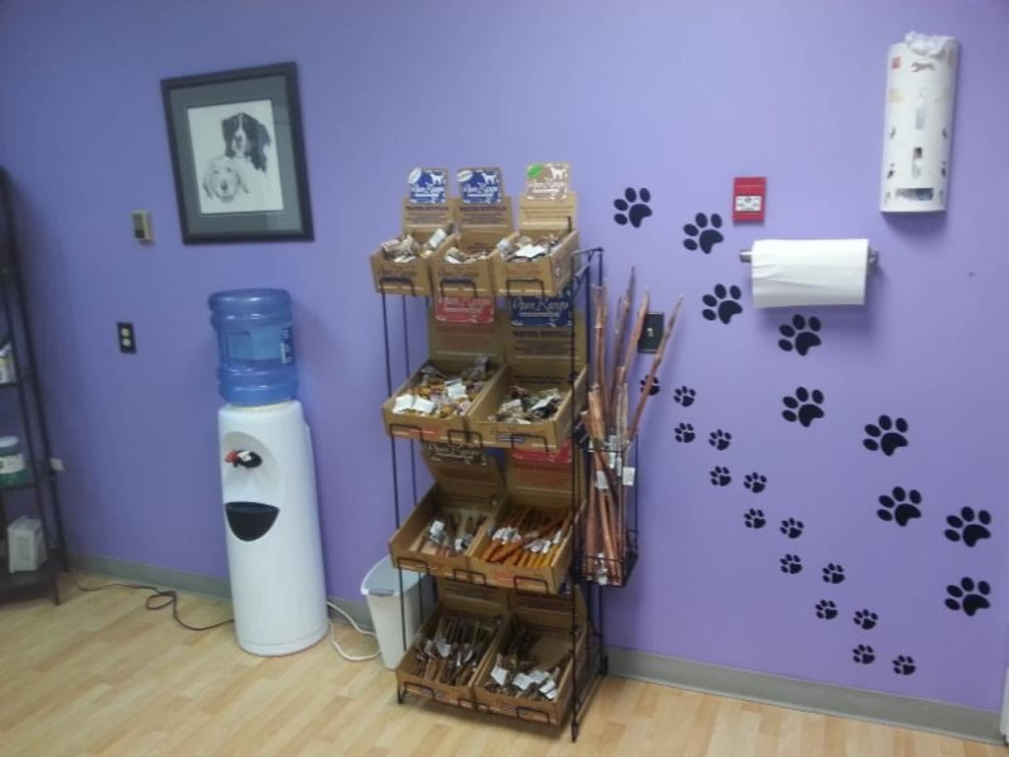 photo 4 Paws Grooming