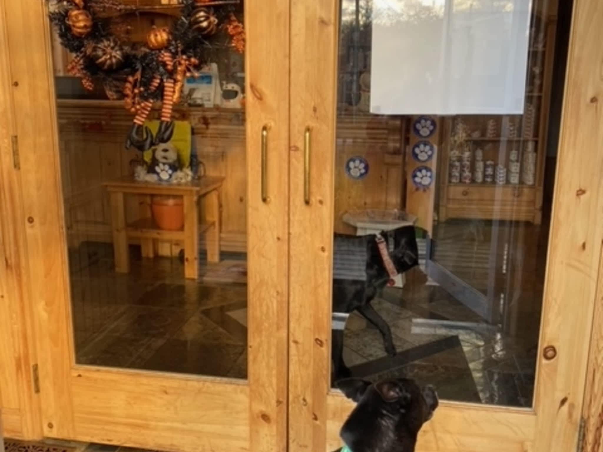 photo Gull River Veterinary Services