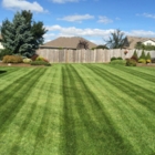 Dale's Lawn and Landscape - Landscape Contractors & Designers