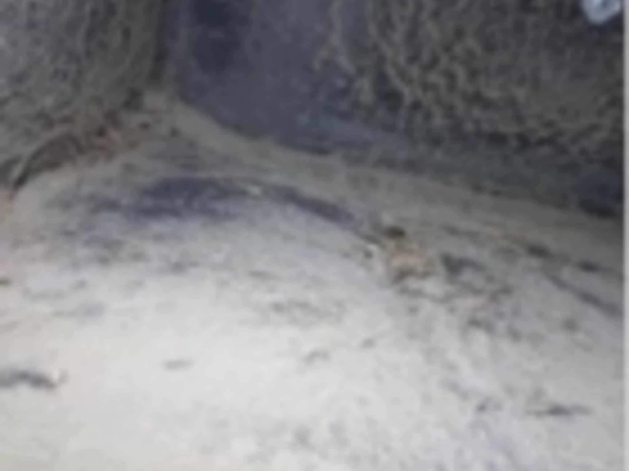 photo Sea Shore Duct and Vent Cleaning