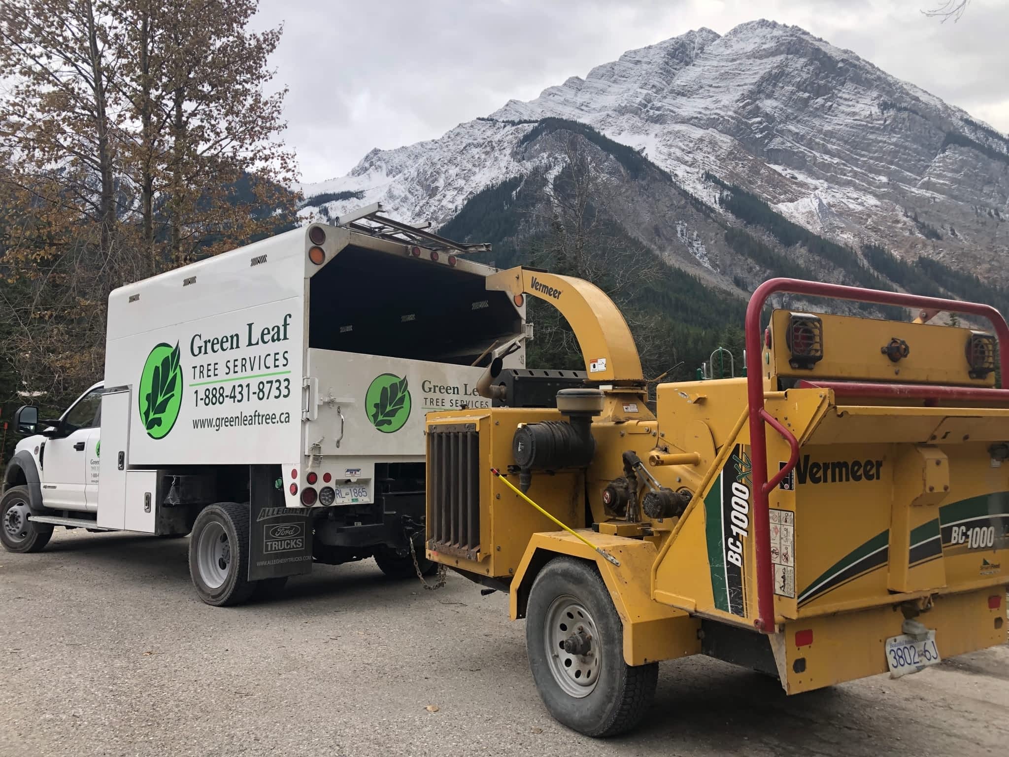 photo Green Leaf Tree Services