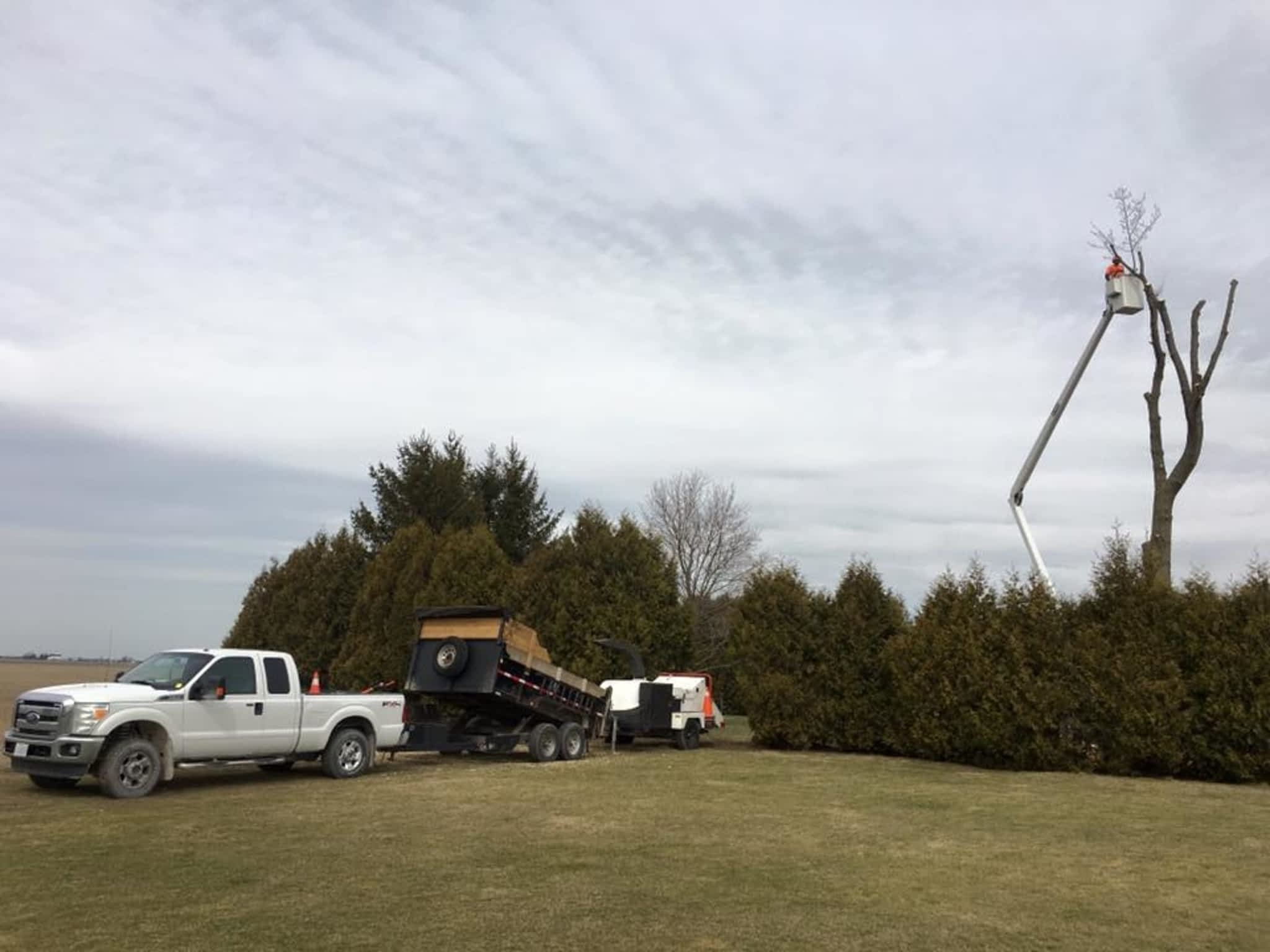 photo Sydenham Tree Service