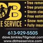 DB Tree Service - Service d'entretien d'arbres