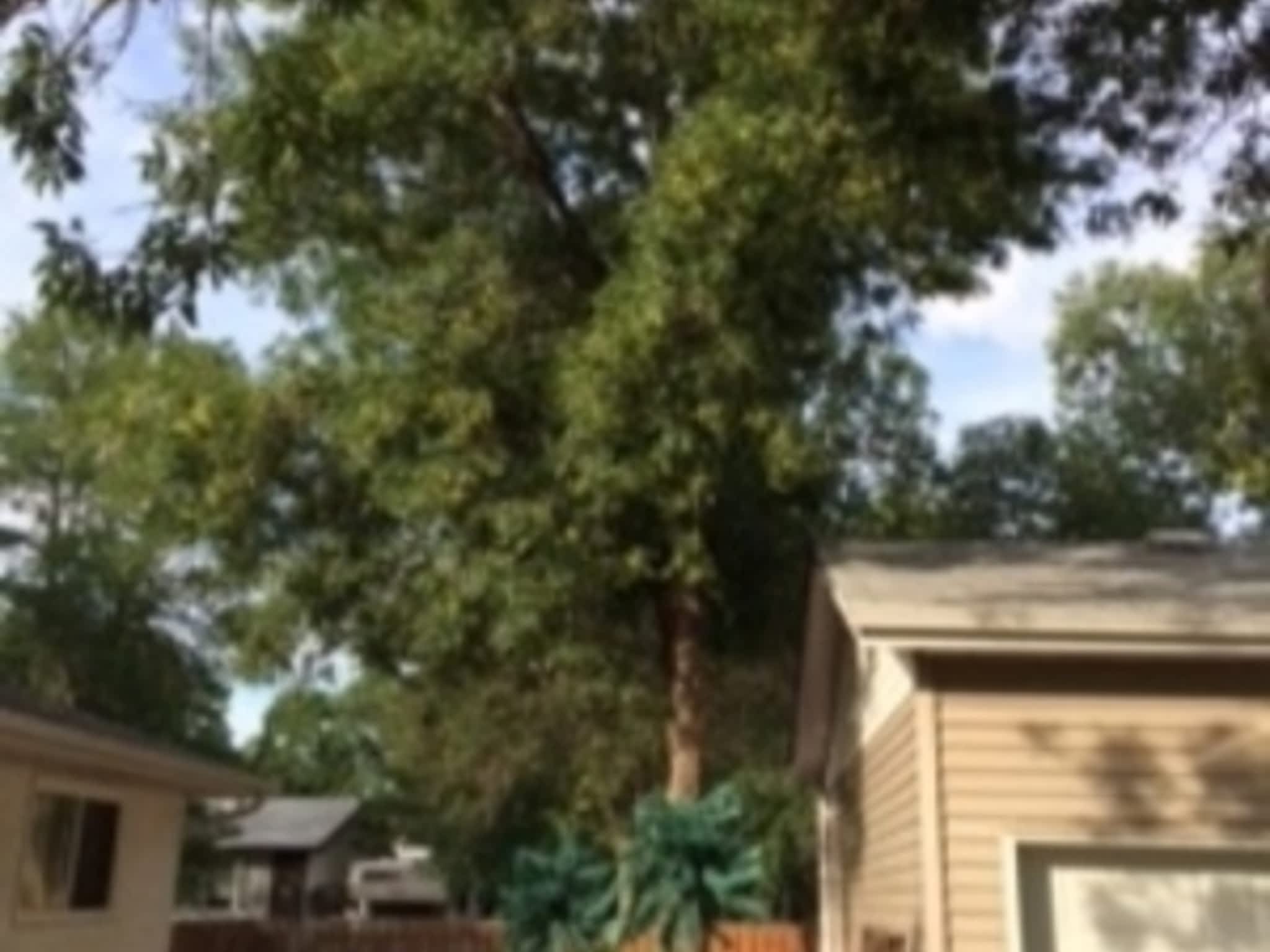 photo CarLen Tree Service