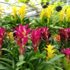 Shelmerdine Garden Center Ltd - Centres du jardin