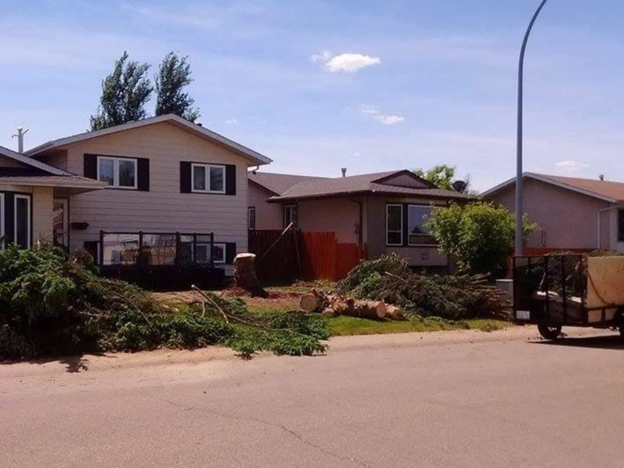 photo Tree Solutions