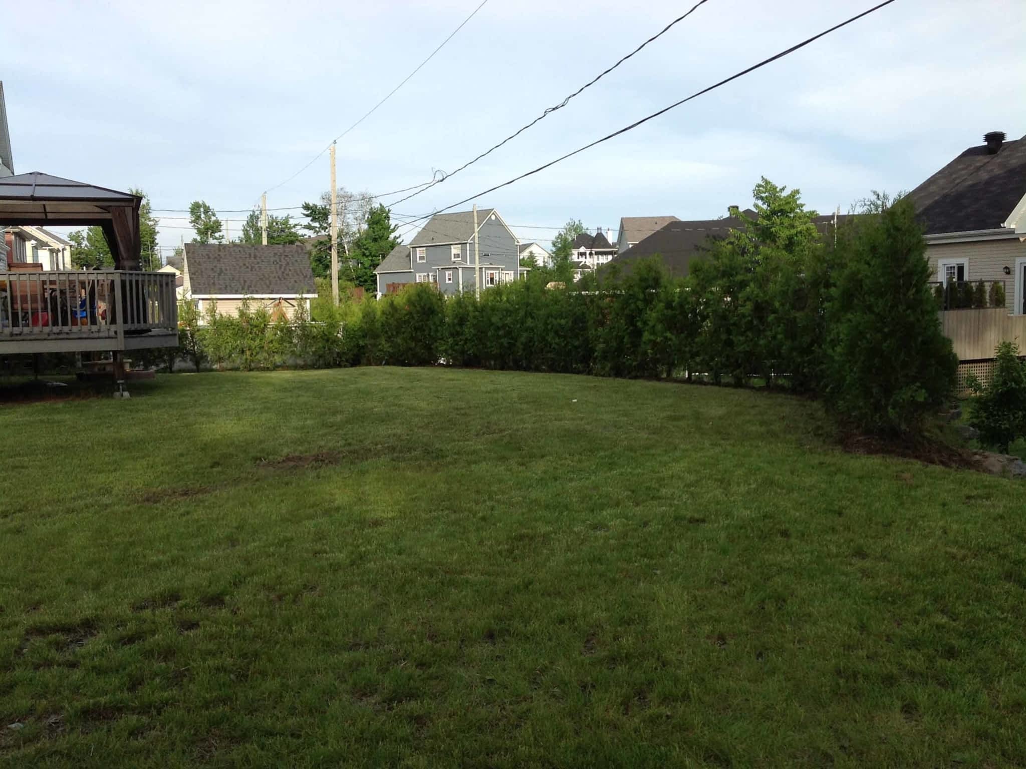 Plantation ProsHaie de Cèdres Orford, QC 4, rue des
