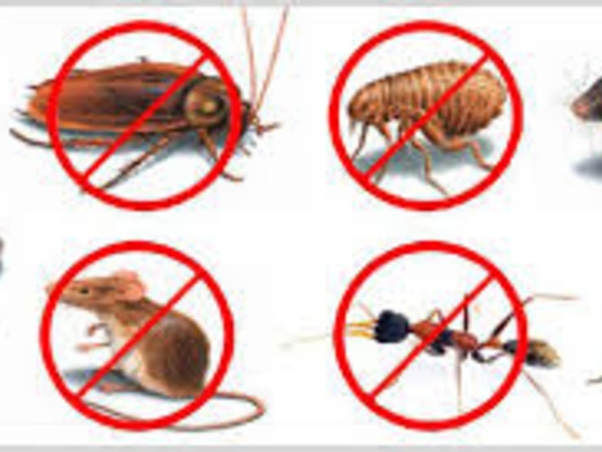 photo Allpest Pest Control