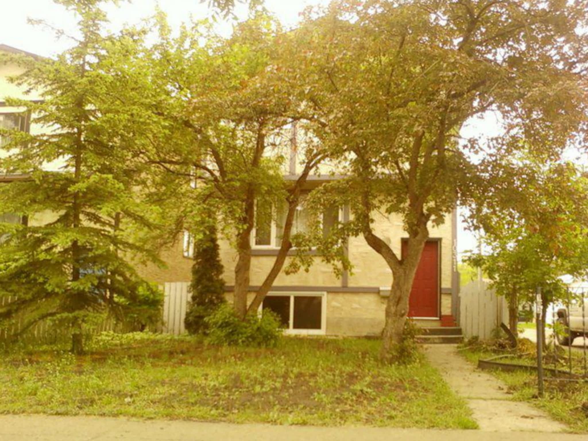 photo Dragonfly Tree Services