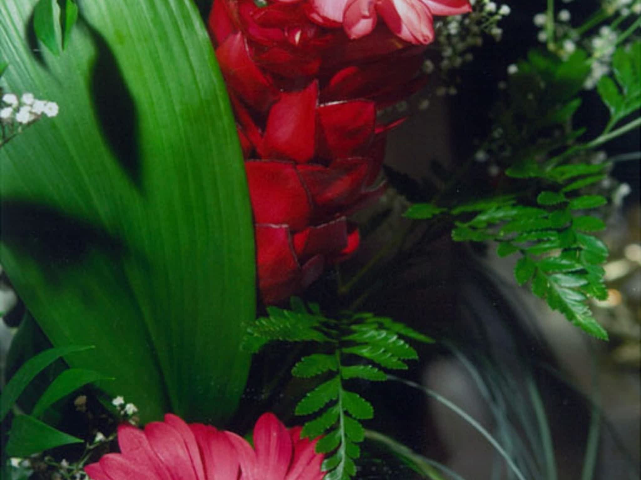 photo Fleuriste La Maison des Fleurs