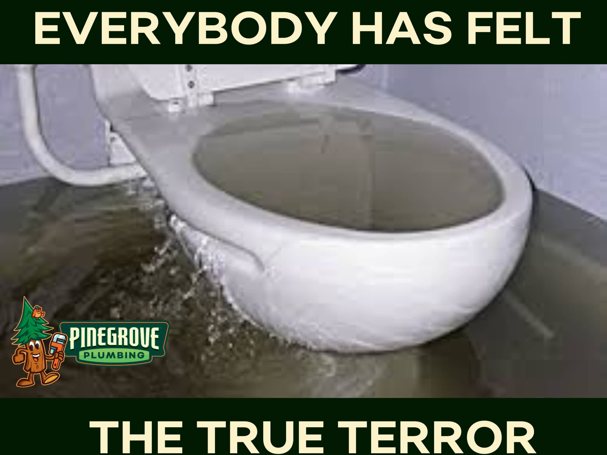 photo Pinegrove Plumbing