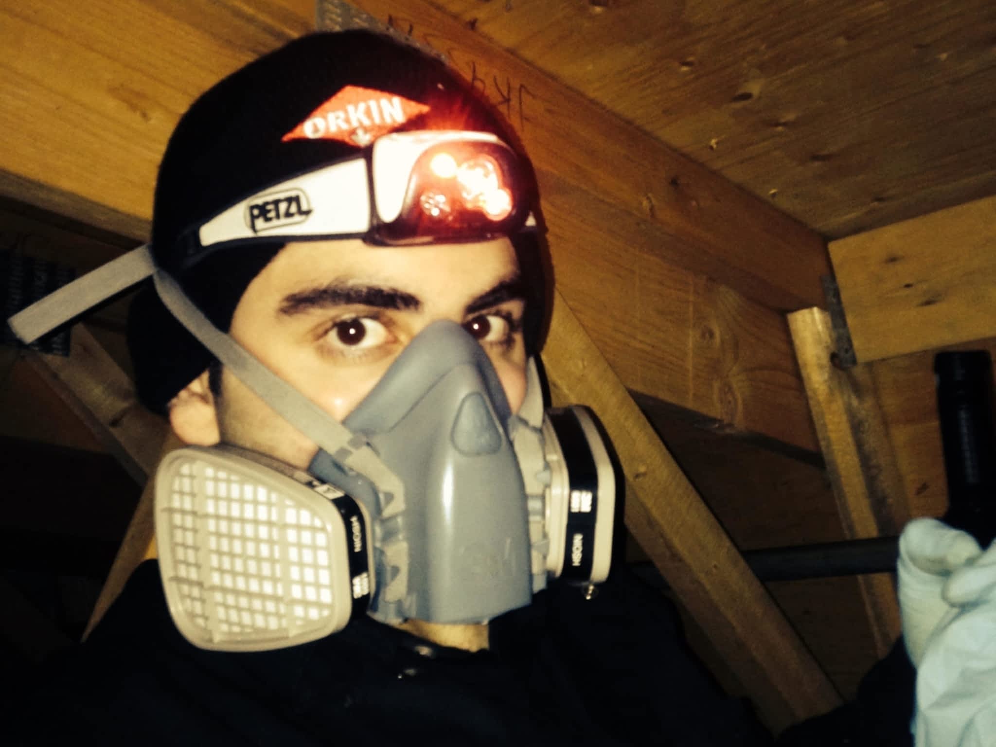 photo Phantom Pest Control Maple Ridge