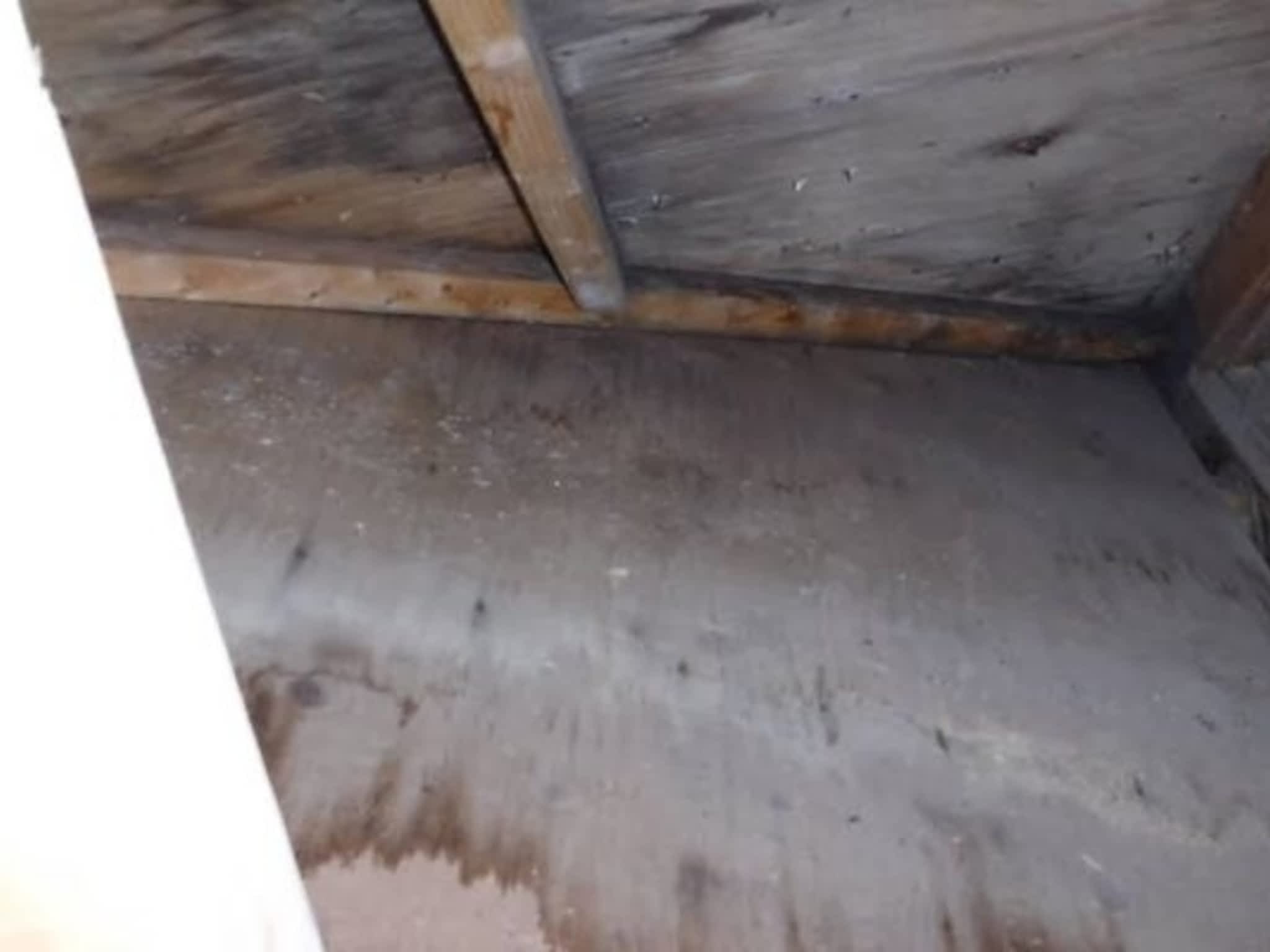 photo Inspection Bilodeau