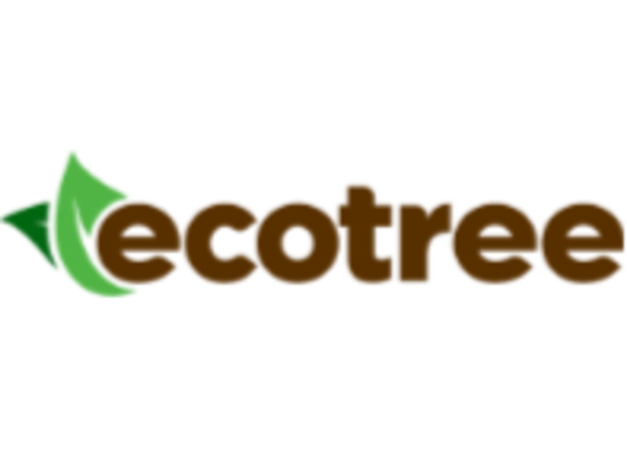 photo Eco Tree