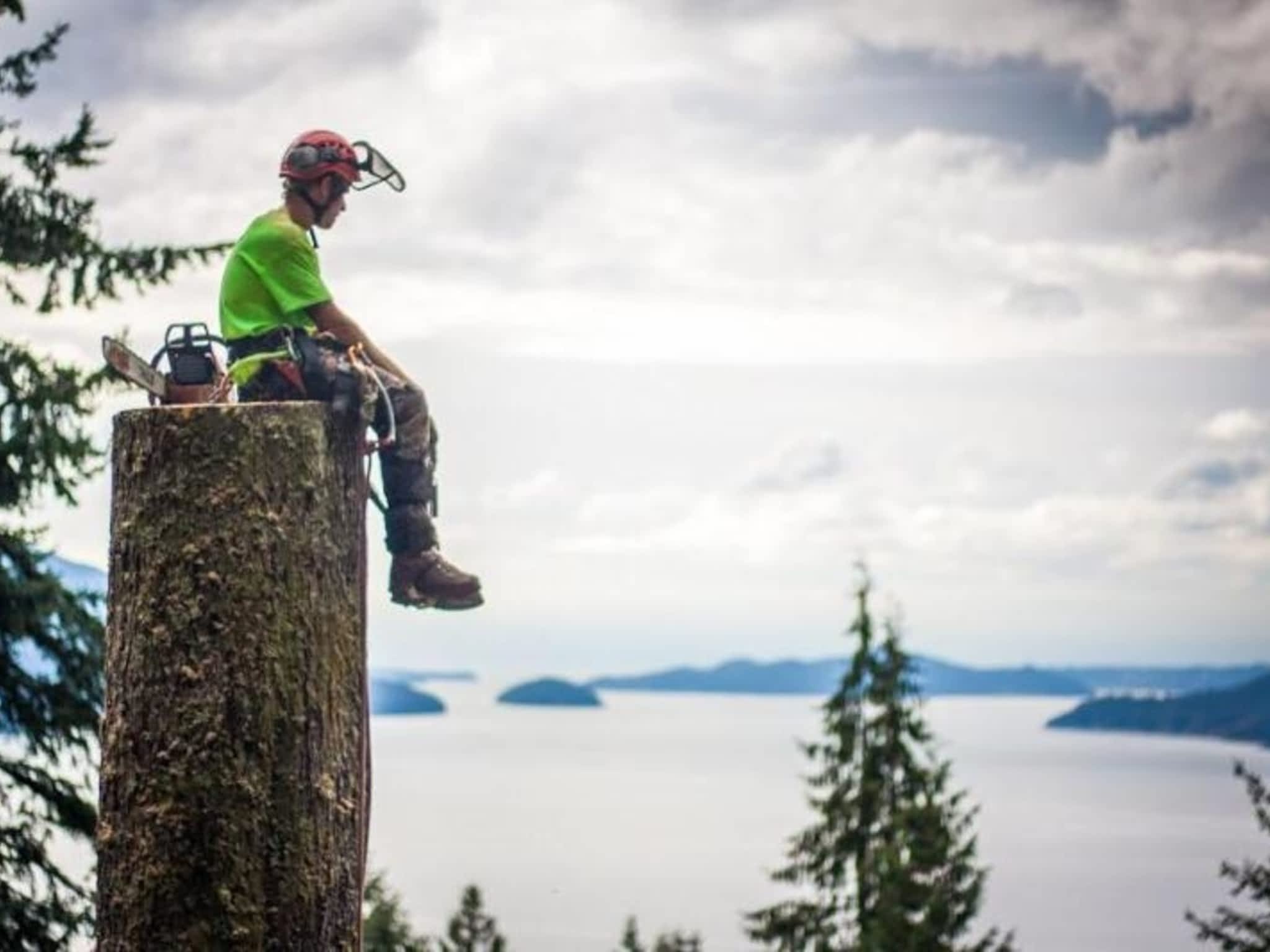 photo Windfirm Tree Services