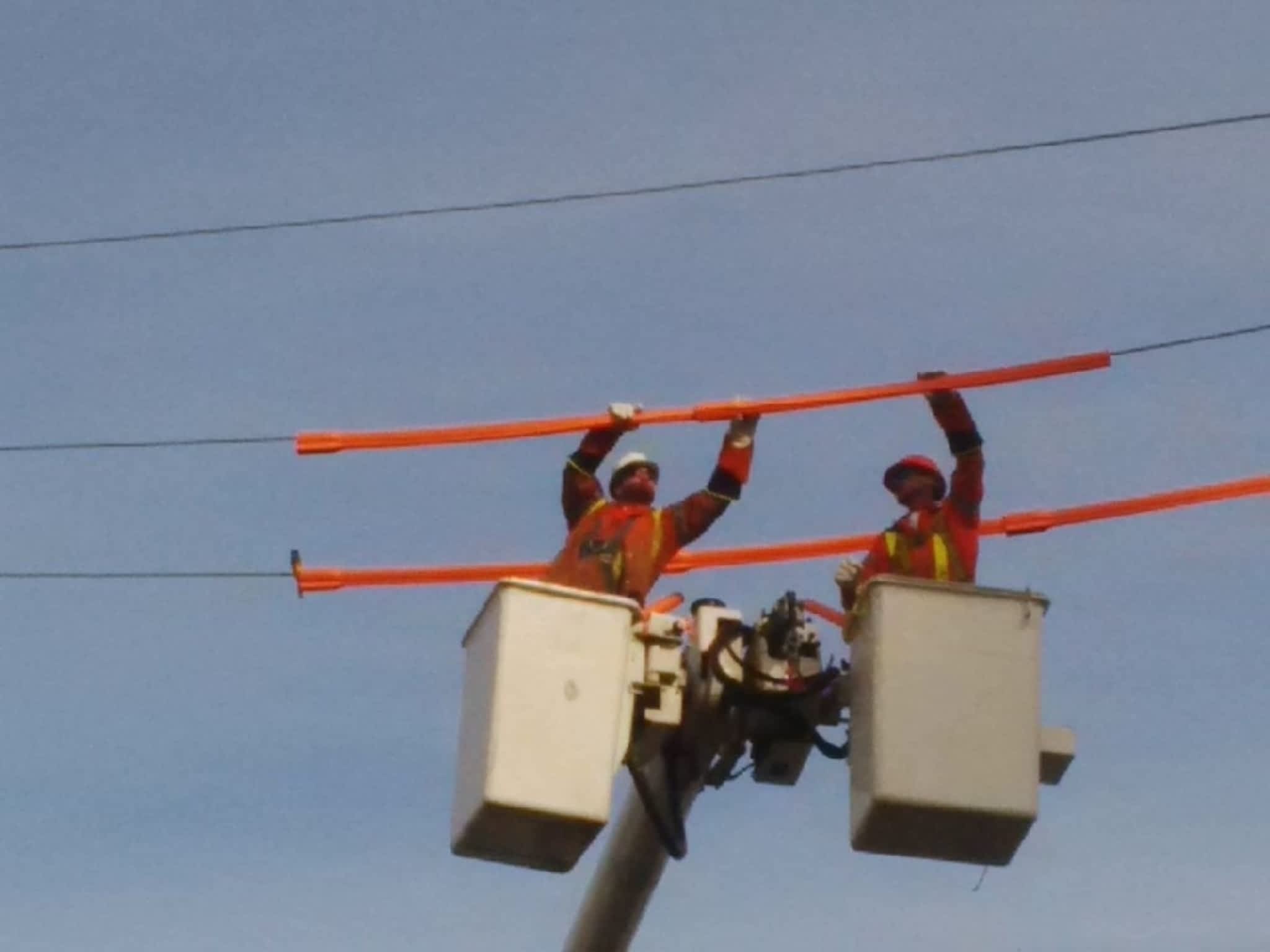 photo Pro-Gen Inc. — Electrical Contracting
