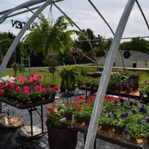 Allbright Garden Center Opening Hours 576 Allbright Rd Uxbridge On
